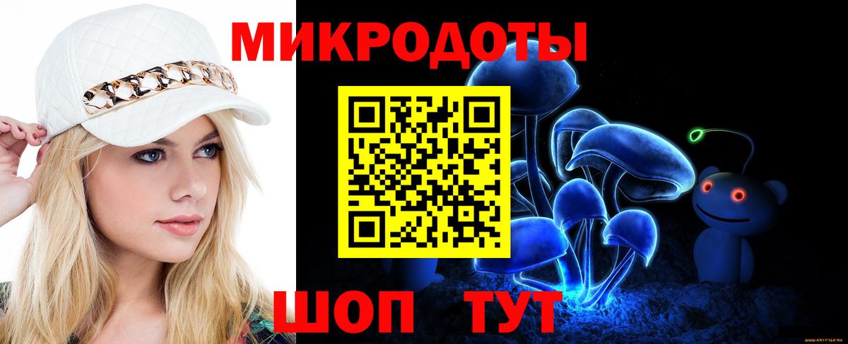 Галлюциногенные грибы Psilocybine cubensis Калининград