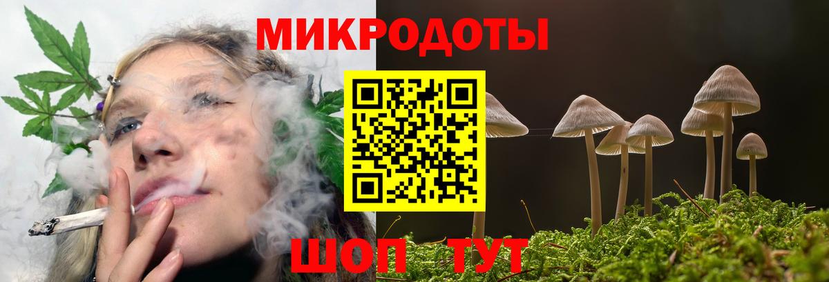 Галлюциногенные грибы Psilocybe  Псилоцибиновые грибы мухоморы  как найти закладки  Калининград  Вход с VPN 